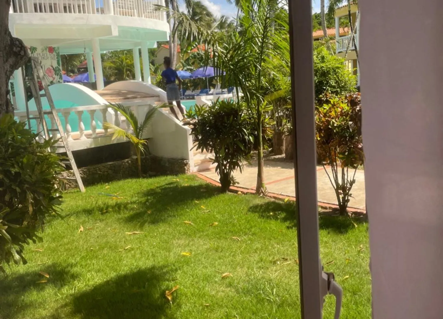 Palms Lounge Cabarete Hotel